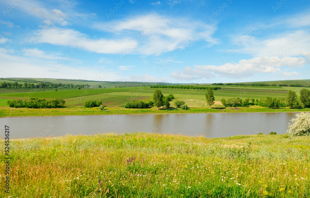 Sunny summer landscape with a river. Sunny summer landscape with a river.