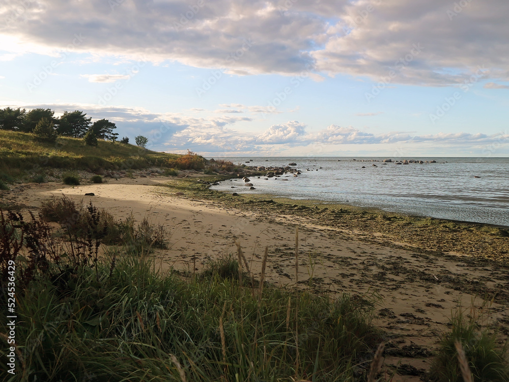 The Baltic Sea coast in Estonia