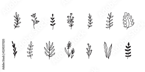 Floral elements set flowers leaves simple outline style