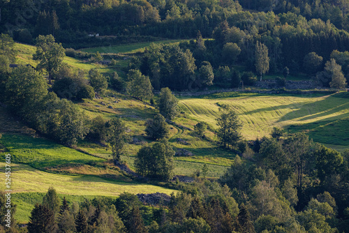 Wallpaper Mural forests in Norway Torontodigital.ca