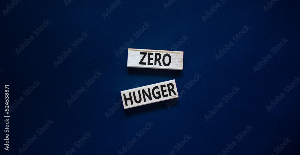 Zero hunger symbol. Concept words Zero hunger on wooden blocks on a beautiful black table black background. Business, support and Zero hunger concept. Copy space. Zero hunger symbol. Concept words Zero hunger on wooden blocks on a beautiful black table black background. Business, support and Zero hunger concept. Copy space.