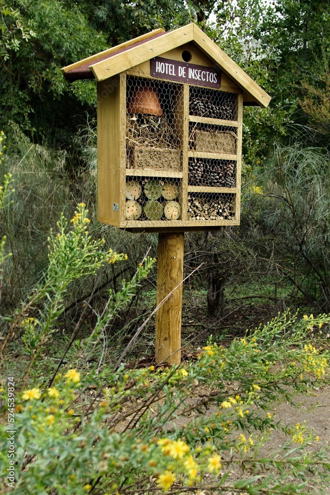 Hotel de insectos en un parque. Hotel de insectos en un parque.