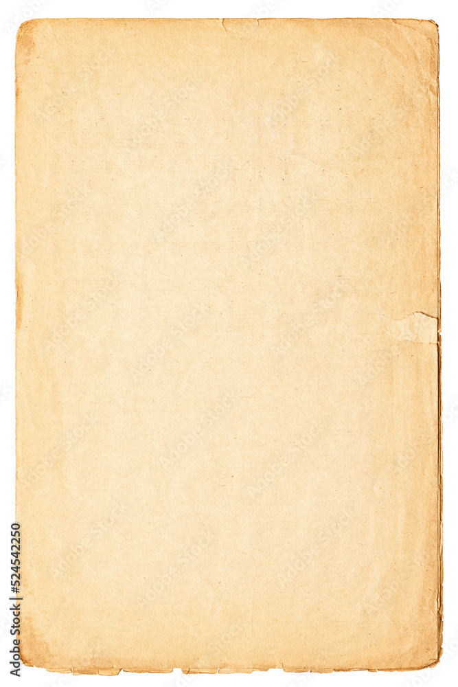old paper manuscript isolated on white background. ancient page with space for writing