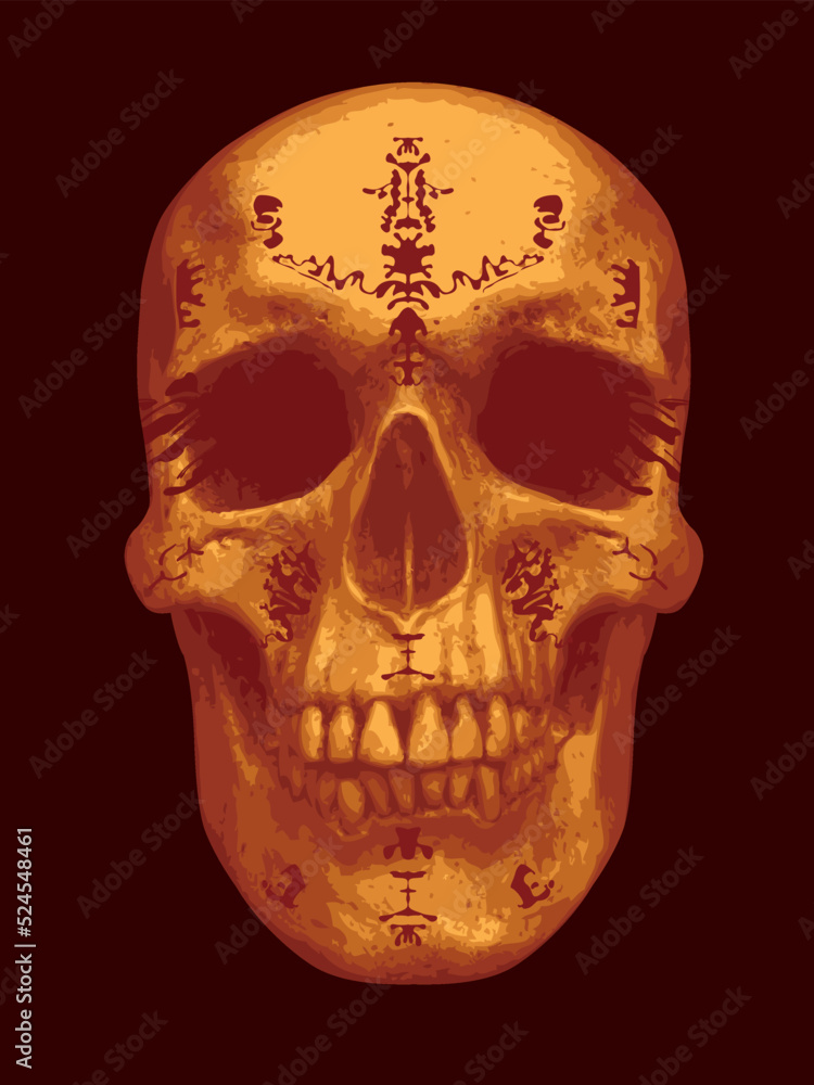 vector human skull with folk indian ornament. Graphic print for clothes, fabric, wallpaper, wrapping paper, design element for halloween party vector human skull with folk indian ornament. Graphic print for clothes, fabric, wallpaper, wrapping paper, design element for halloween party