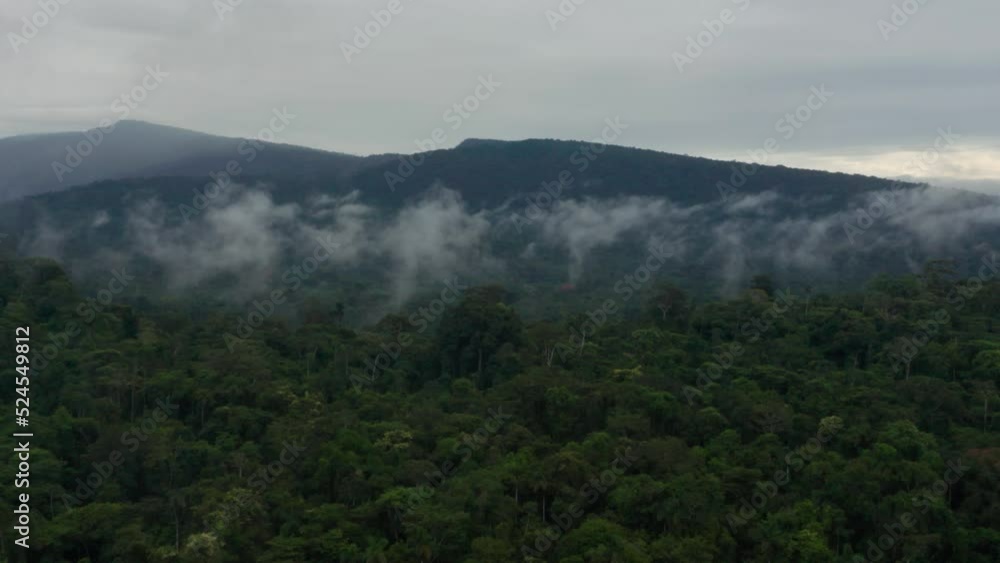 4k Aerial shot for amazon river and the rain forest in brazil rainforest. shot on MAVIC 2 PRO hasselblad rendered prores 422HQ REC709 4k Aerial shot for amazon river and the rain forest in brazil rainforest. shot on MAVIC 2 PRO hasselblad rendered prores 422HQ REC709