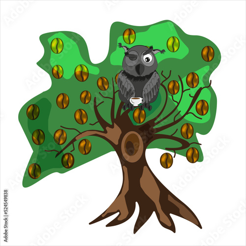 Coffee tree and owl drinking coffee. Vector drawing