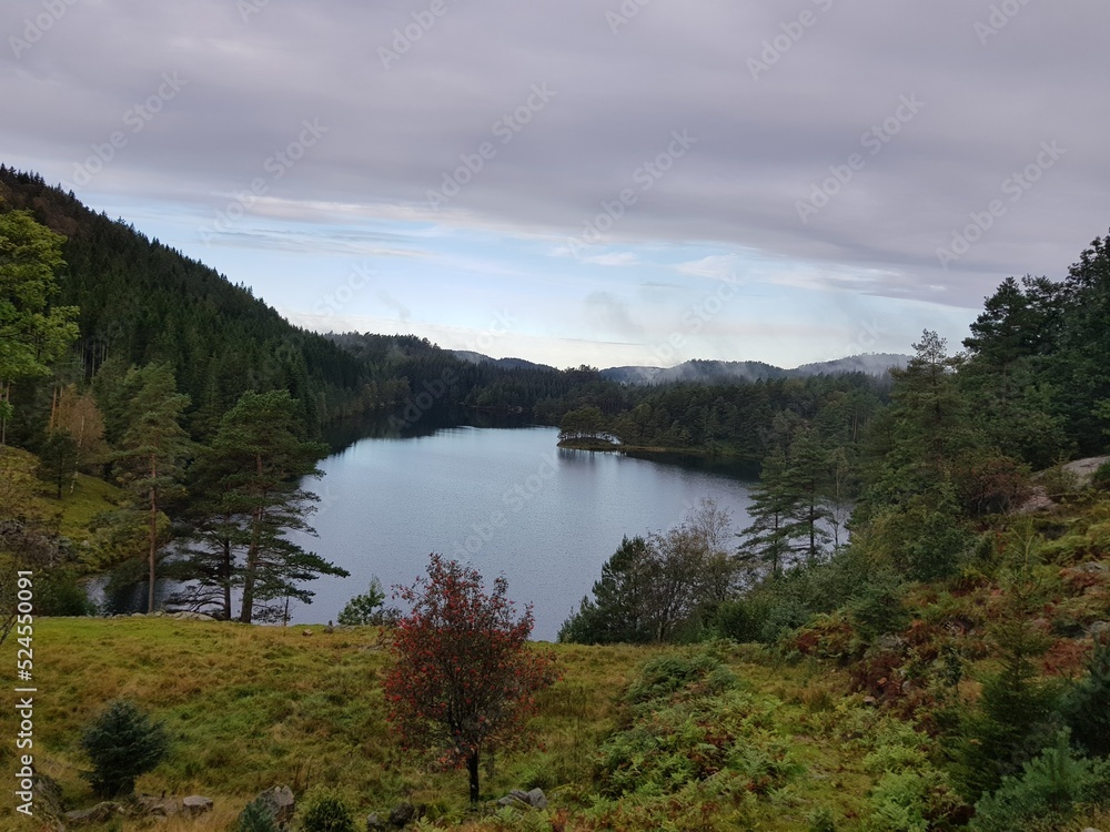 Obraz premium Lake in autumn
