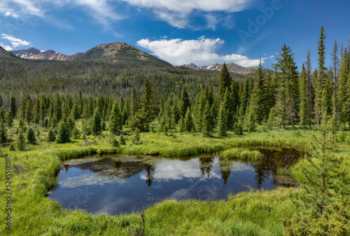 Beaver Pond in the Rocky Mountain National Park in Colorado