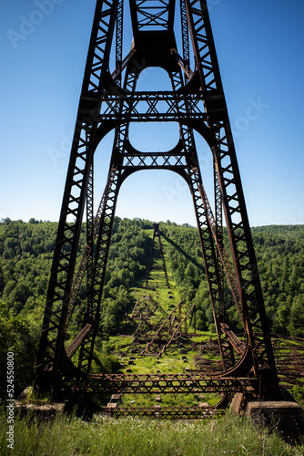 Remainders of the Kinzua Bridge, Mt Jewett, Pennsylvania, destroyed by a hurricane in 2013.. photo