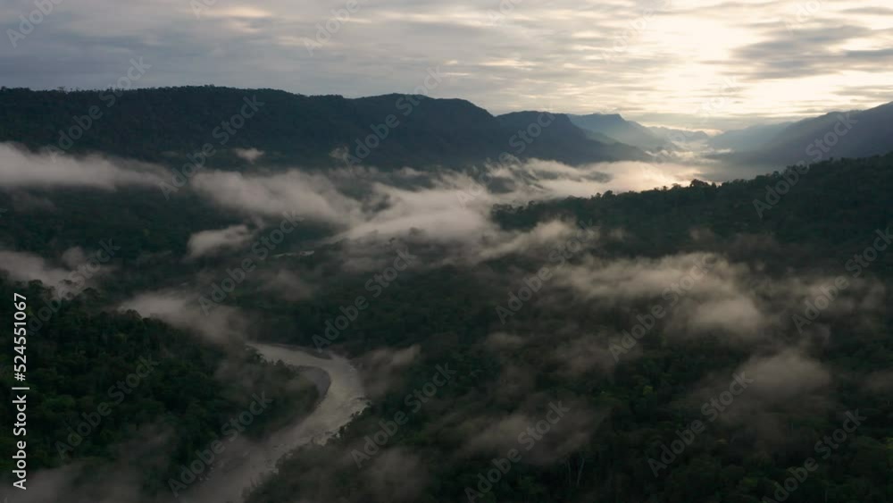 4k Aerial shot for amazon river and the rain forest in brazil rainforest. shot on MAVIC 2 PRO hasselblad rendered prores 422HQ REC709 4k Aerial shot for amazon river and the rain forest in brazil rainforest. shot on MAVIC 2 PRO hasselblad rendered prores 422HQ REC709
