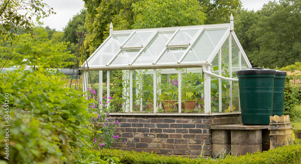 Two green water butts outside a greenhouse being used for water storage, water collection system in place, eviromental concept Two green water butts outside a greenhouse being used for water storage, water collection system in place, eviromental concept