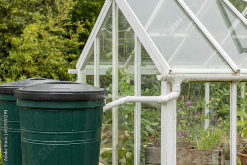 Two green water butts outside a greenhouse being used for water storage, water collection system in place, eviromental concept