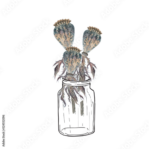 Poppy seeds in a jar bouquet watercolor and graphic design stock vector illustration for web, for print