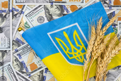 Spikelets of wheat on the background of dollars banknotes and national Ukrainian flag. Blockade of the export of Ukrainian wheat. Famine in underdeveloped countries. photo