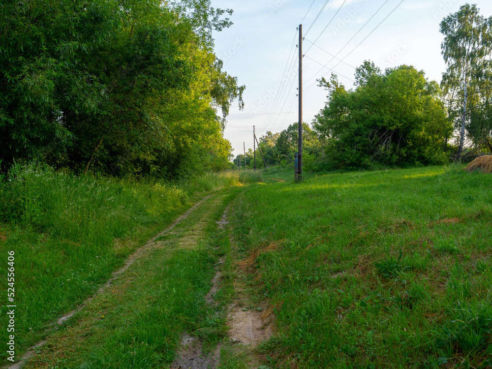 A rural path running through the grass in the summer in the village. Rural landscape