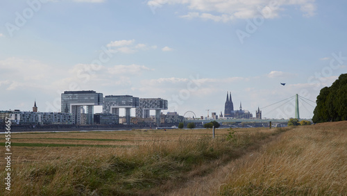 View on panorama of Cologne City from a meadow at the other side of rhine river at low tide