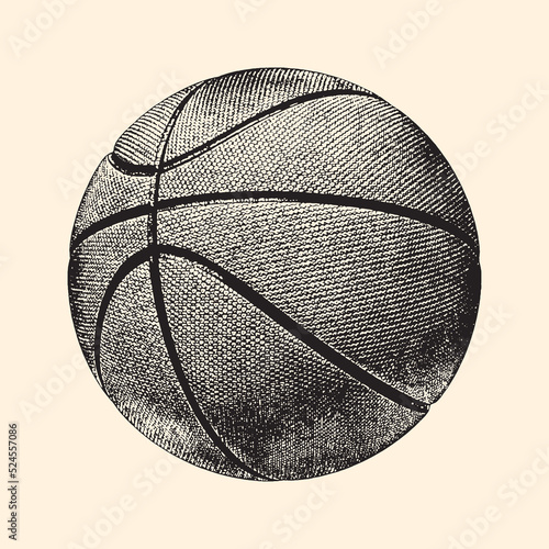 Realistic sketch basketball ball, vector vintage illustration