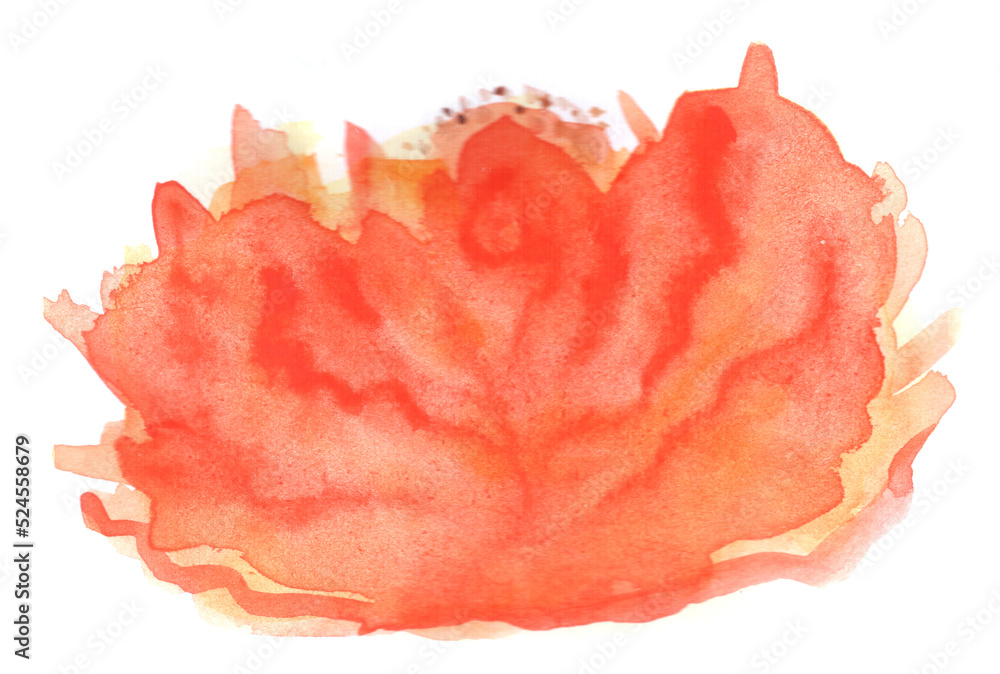 Orange flower watercolor, art decoration, sketch. Illustration hand drawn modern