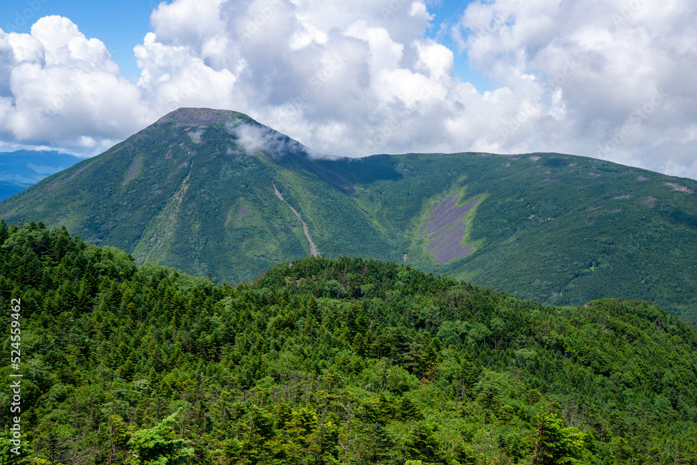 夏の八ヶ岳　北横岳から蓼科山をのぞむ