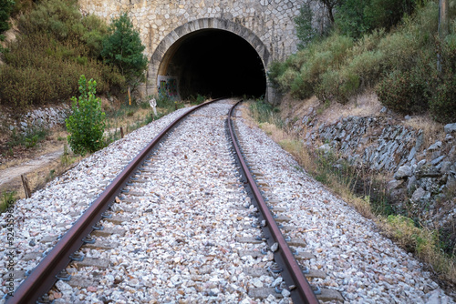 entrance of a tunnel on a railroad track, close up of the rails forming a curve before entering into the darkness of the tunnel, vegetation on the sides