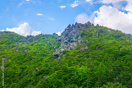 北八ヶ岳・三ツ岳山頂を望む　夏