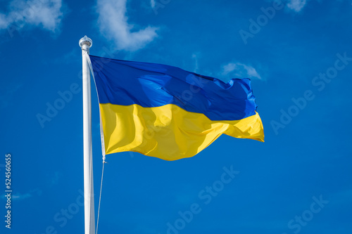 Flag of Ukraine on white sky background. National symbol of freedom and independence. Ukrainian flag waving in wind.