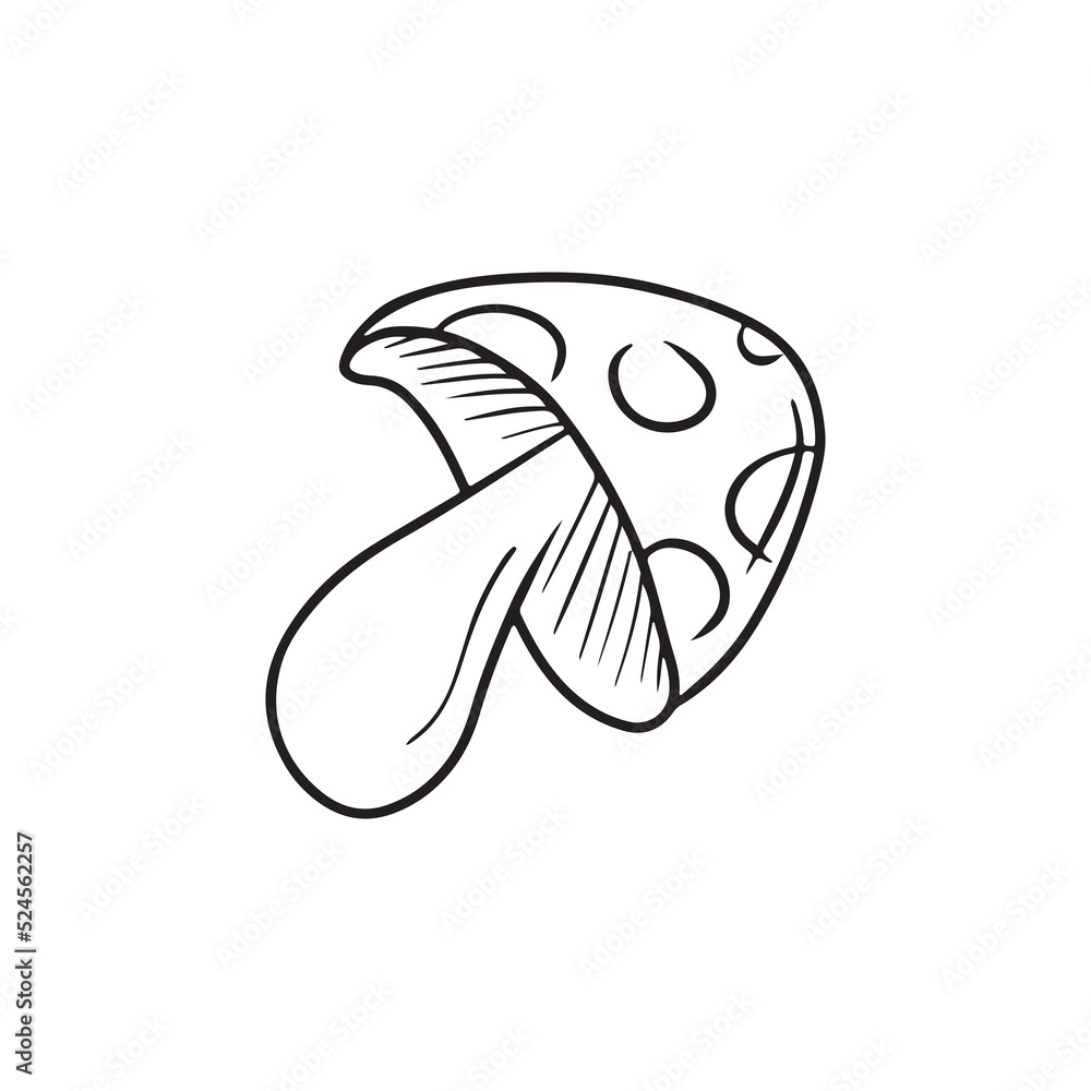 Fly agaric amanita sketch illustration isolated on white background. HAnd drawn vector drawing made in dooodle simple line art. Engraved, vintage art of autumn element, nature, mushroom Fly agaric amanita sketch illustration isolated on white background. HAnd drawn vector drawing made in dooodle simple line art. Engraved, vintage art of autumn element, nature, mushroom