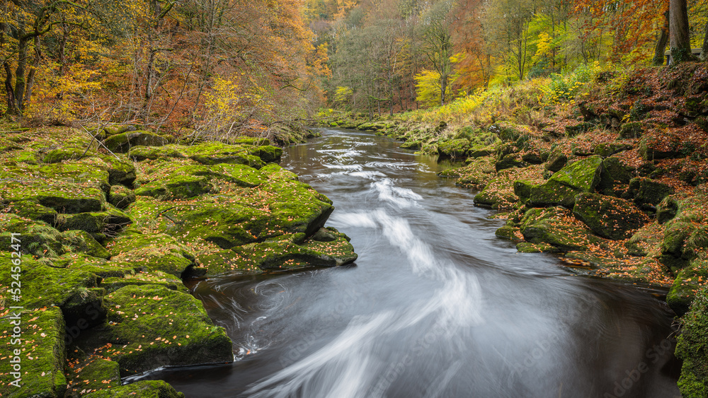 Fast flowing river surrounded by by autumn colors Fast flowing river surrounded by by autumn colors