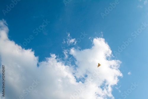 wind kite flying in the blue sky
