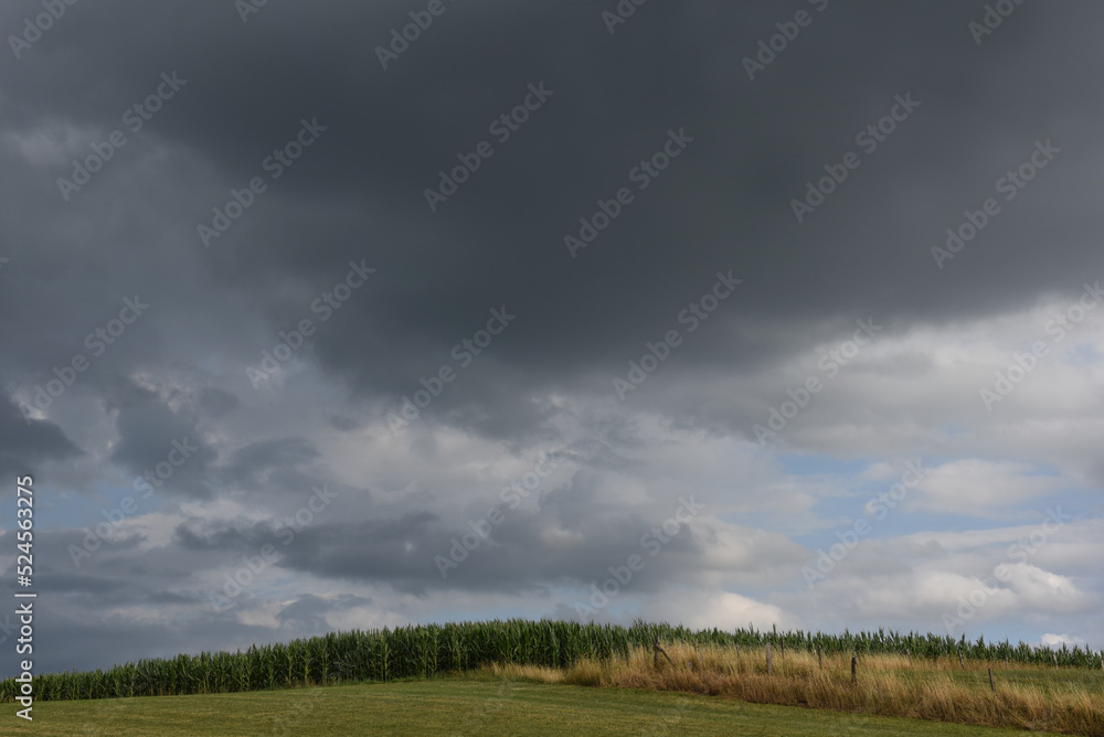 cloudy sky with sunbeams breaking through over a cornfield in germany cloudy sky with sunbeams breaking through over a cornfield in germany
