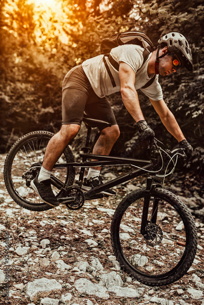Obraz premium Cyclist Riding the Bike on the Trail in the Forest. Man cycling on enduro trail track. Sport fitness motivation and inspiration. Extreme Sport Concept. Selective focus