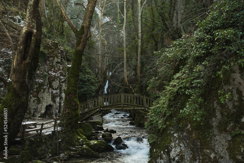 Water stream and wooden bridge at Ayazma national park