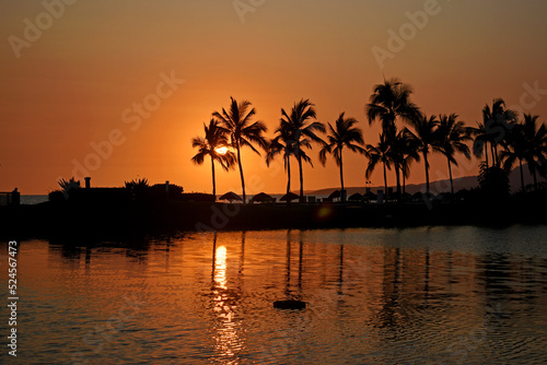 Sunset with palm trees Mexico