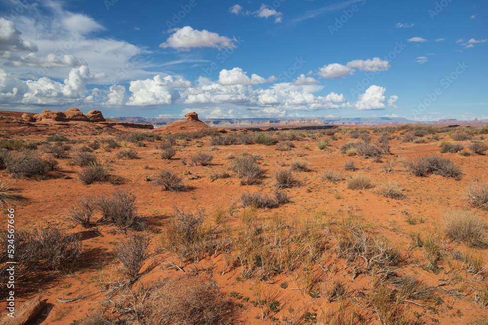 Rock formations viewed from the Beehive trail in Page, Arizona