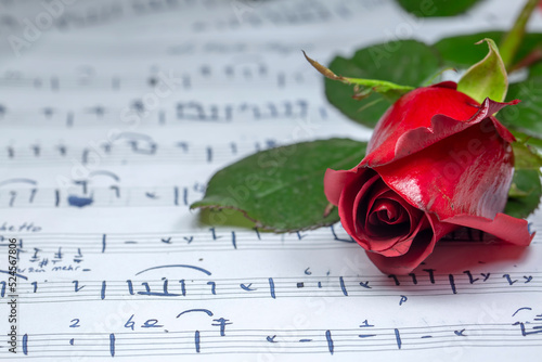 Musical notes and red rose