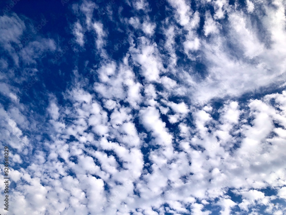 Blue piece of sky with clouds, texture Blue piece of sky with clouds, texture