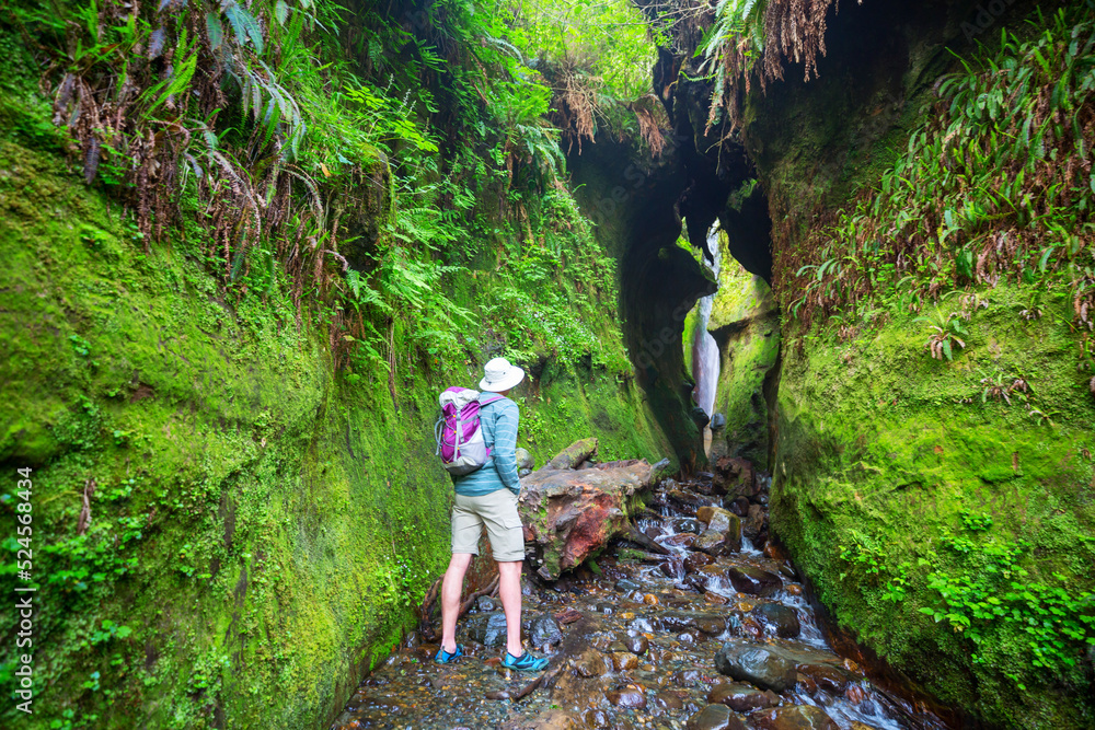 Obraz premium Hidden waterfall