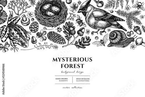 Mysterious forest hand drawn illustration design. Background with sketch waxwing, snail, nest, pool frog, moss, spruce branch, pine cones, insect, aspen mushroom, oak, ginkgo, forget me not flower