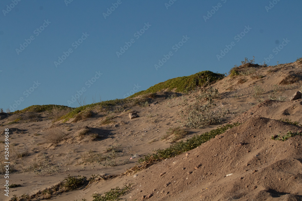 Sunset in a Desert Landscape