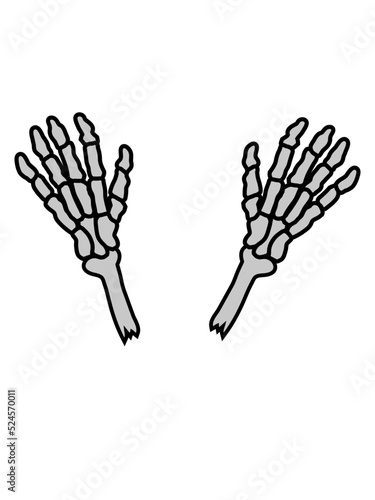 2 Skelett Hände Knochen 