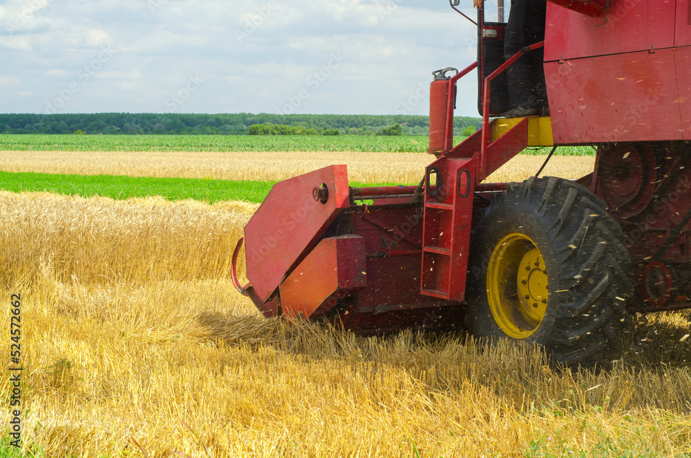 Combine harvester harvesting wheat in summer Combine harvester harvesting wheat in summer