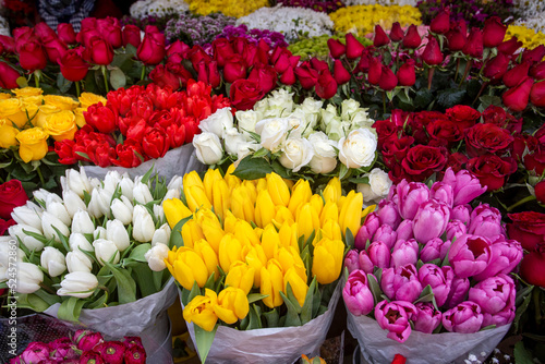 Colorful variety of flowers...