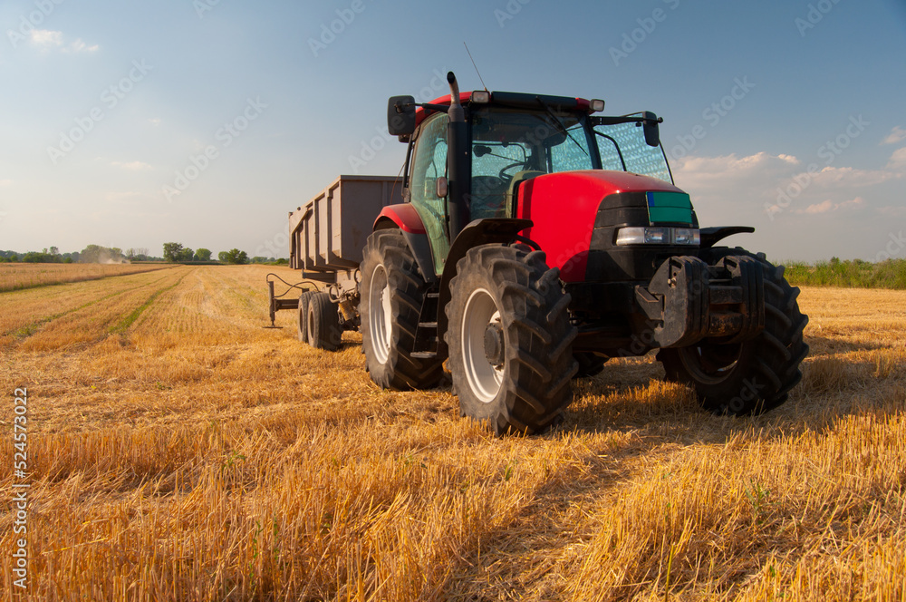 Tractor with a trailer on agricultural field during wheat summer harvest Tractor with a trailer on agricultural field during wheat summer harvest