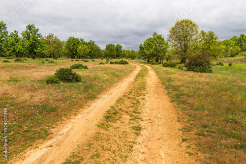 Beautiful curved dirt road in spring forest of oaks and other species © Siur
