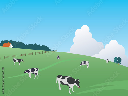 田舎の牛の酪農風景