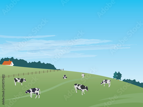 田舎の牛の酪農風景