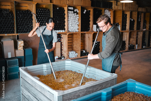 Canvastavla Crushing grapes for wine manufacturing in a cellar, winery and distillery