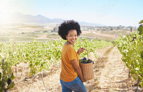Farmer harvesting grapes in vineyard, sweet fruit orchard and sustainable farm estate in countryside for wine production. Portrait of happy black woman with basket of ripe and organic agriculture photo