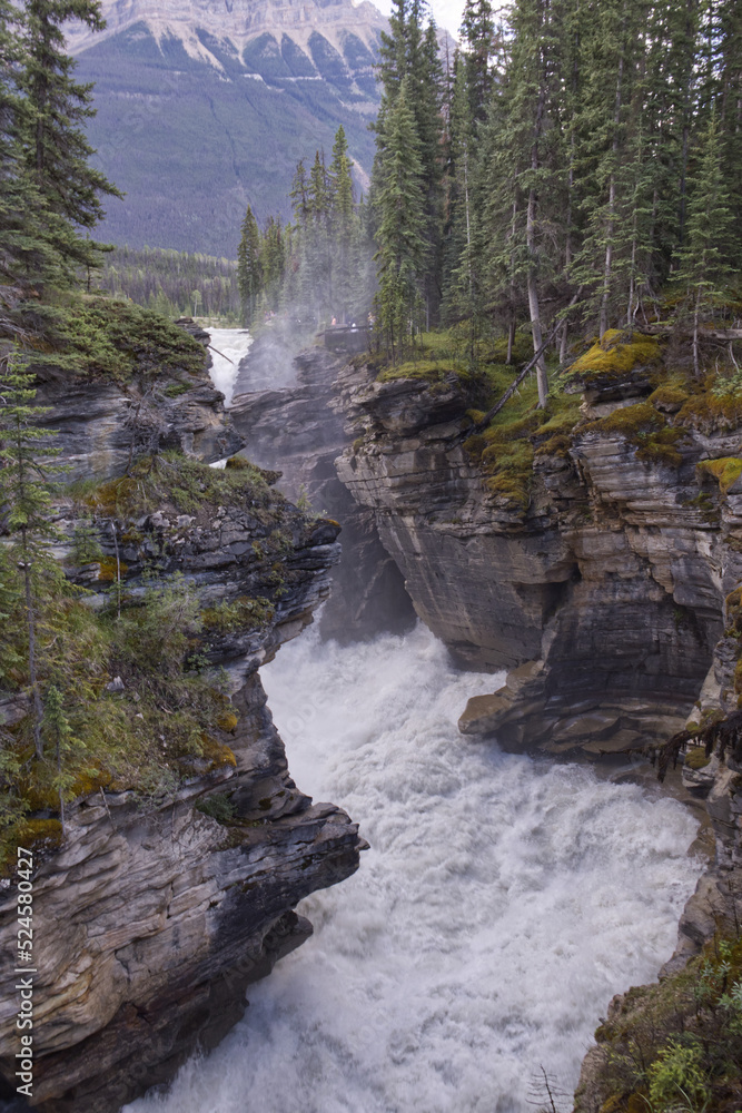 Athabasca Falls in the Summer Athabasca Falls in the Summer
