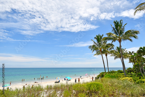 Fototapeta Naklejka Na Ścianę i Meble -  Palm trees rising above a calm Atlantic ocean at Vero Beach, Florida on Hutchinson Island